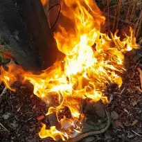 Adidias Firebird jackets in flames part 2